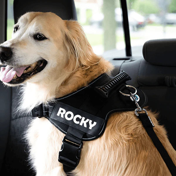 ADJUSTABLE SEAT BELT FOR DOGS