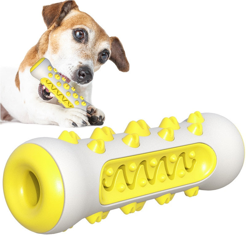 TOOTHBRUSH TOY FOR DOGS