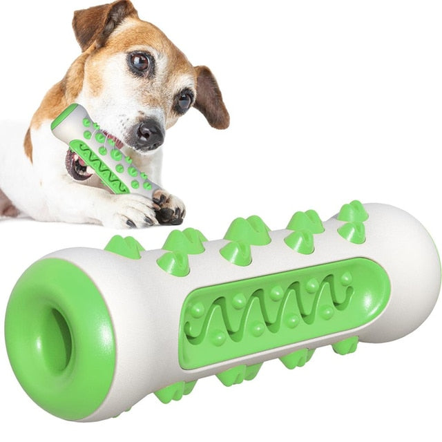TOOTHBRUSH TOY FOR DOGS
