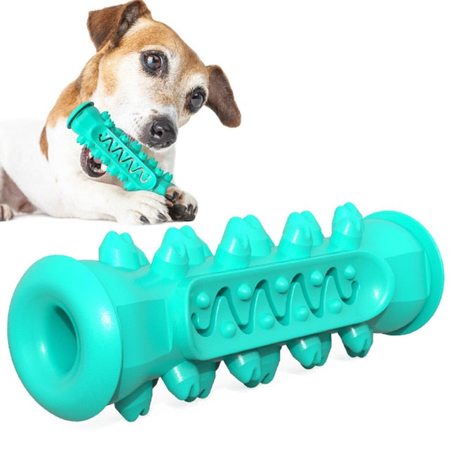 TOOTHBRUSH TOY FOR DOGS