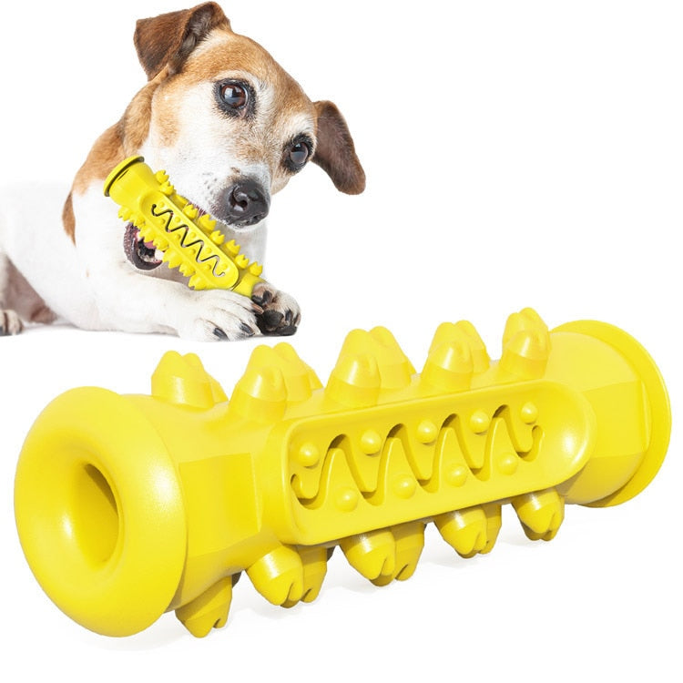 TOOTHBRUSH TOY FOR DOGS