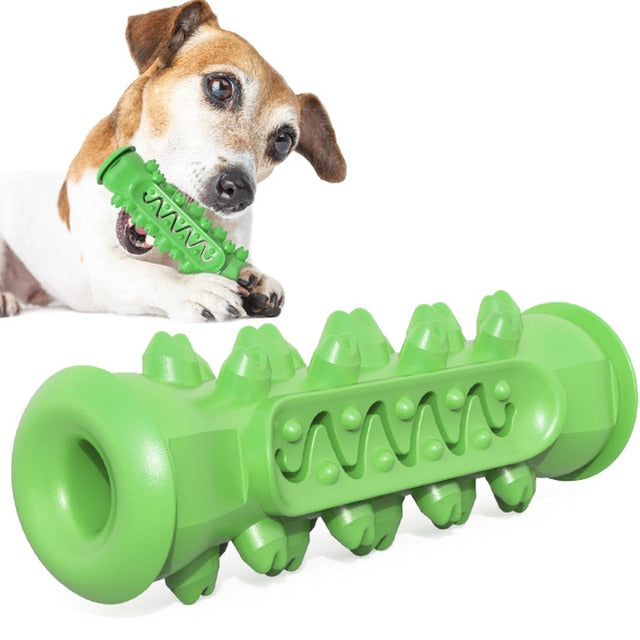 TOOTHBRUSH TOY FOR DOGS