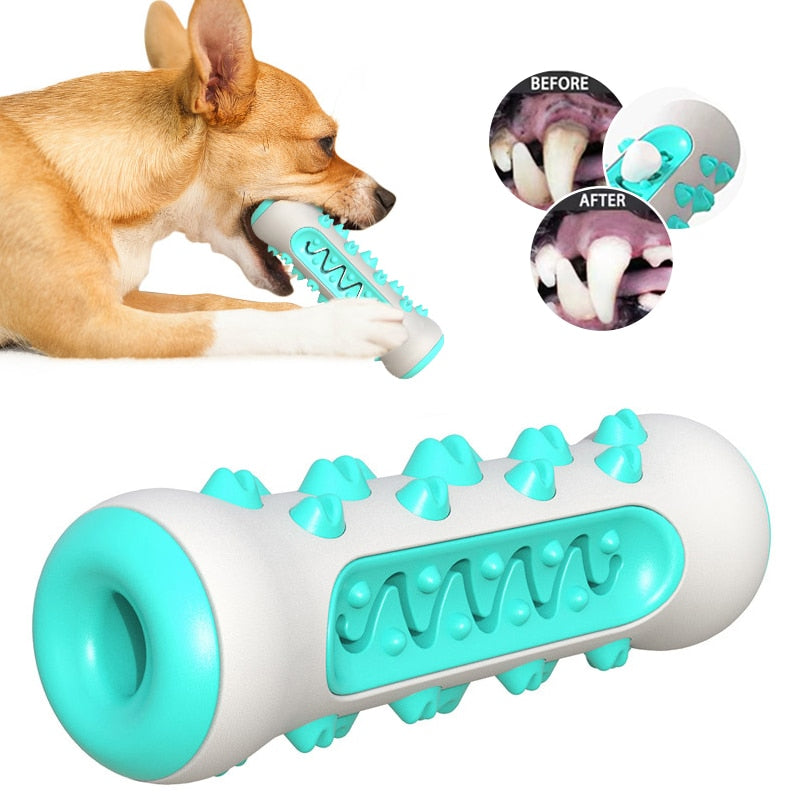 TOOTHBRUSH TOY FOR DOGS
