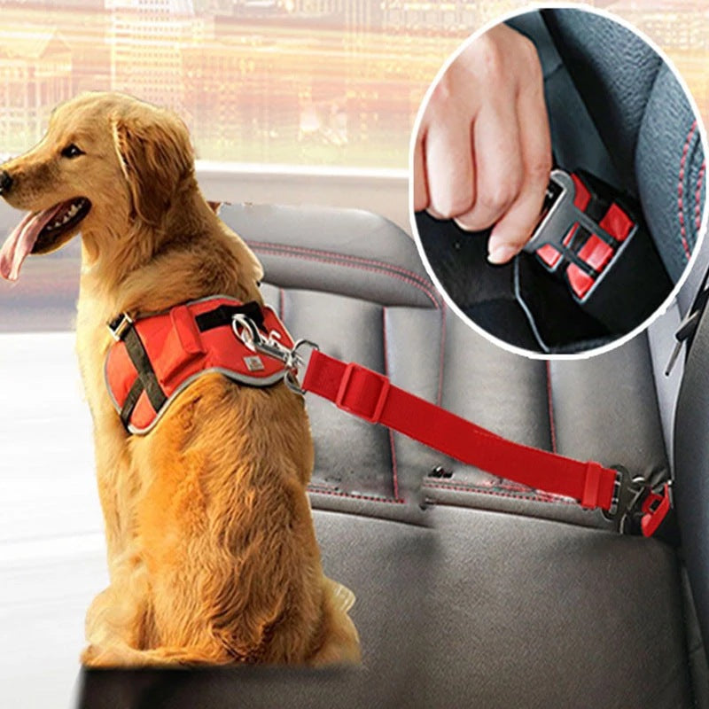 ADJUSTABLE SEAT BELT FOR DOGS